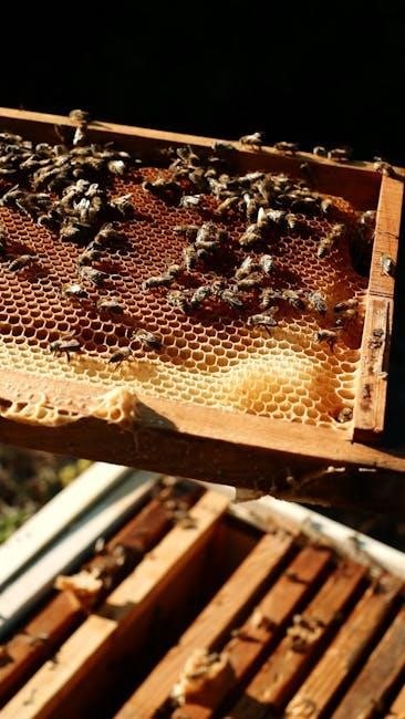 10 frame langstroth beehive plans pdf