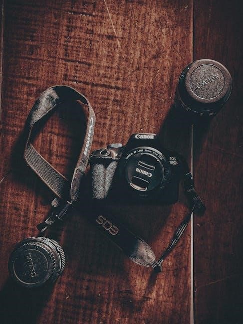 canon 7d manual