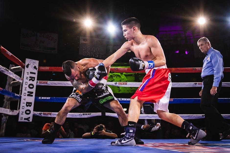 boxing training program pdf