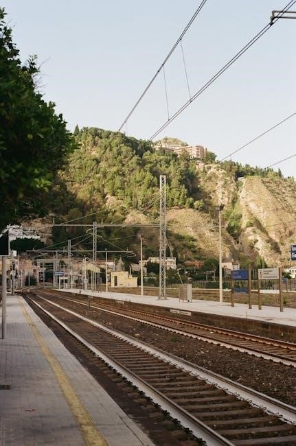 size guide italy