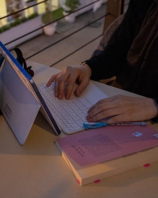 the idea of you book pdf