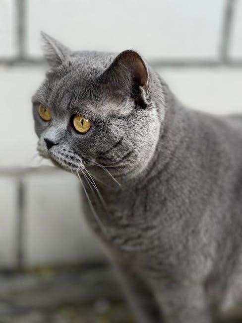 bobcat e35 specs pdf